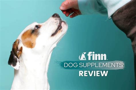 Finn dog supplements. Things To Know About Finn dog supplements. 